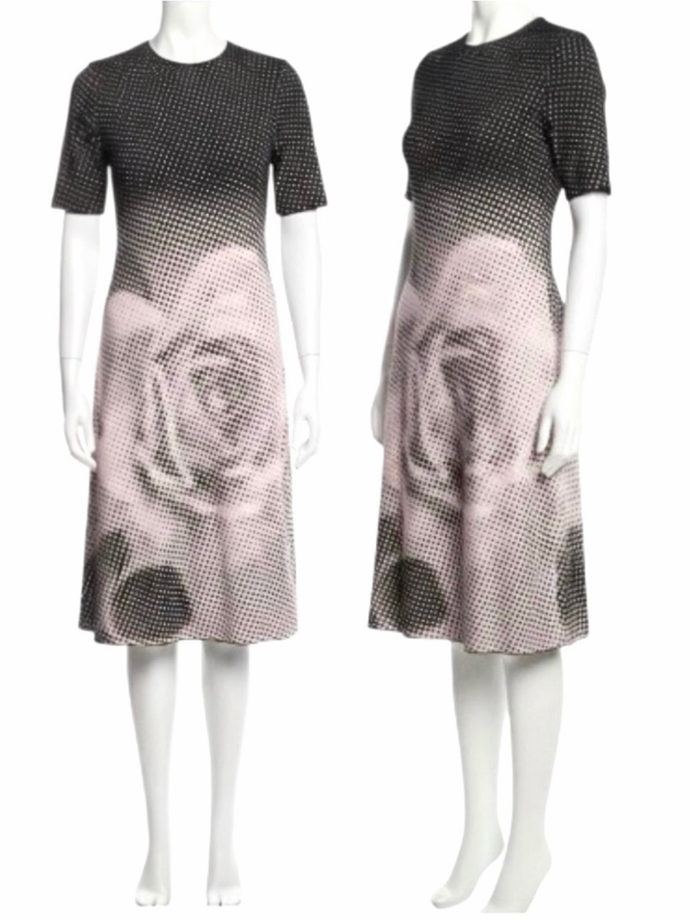 TERI JON Rickie Freeman Double Knit Dotted Rose Floral Printed A Line Midi Dress - Picture 9 of 17